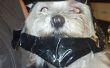 Darth Vader duct tape hondje kostuum