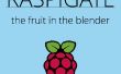 De Opener van de poort van de Raspberry Pi