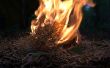 Maken van een brand via de vuursteen en staal methode (handen op Bushcraft)
