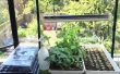 Urban Farming: Indoor Starter planten uit zaad