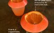 Goedkoop, efficiënt, eenvoudig (en schattig!) fruit fly trap