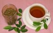Oogst, gebraden en brouwen groene thee met behulp van een gemeenschappelijk struik