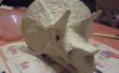 Mijn eigen triceratops schedel