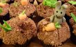 Schelms konijnen! (Cupcake recept en decoratie) 