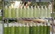 Een algen Bioreactor uit gerecycleerd waterflessen