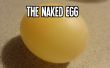 Het naakte ei: Wiebelig, springkussen en squishy met behulp van de wetenschappelijke methode, maken een gewone ei! 