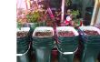 Hybride Aquaponic / soil overdekte wintertuin