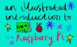 Een geïllustreerde inleiding tot de Raspberry Pi
