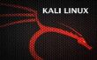 Hacken Internet winkels met burpsuite en kali linux