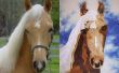 Stof portret van een paard quilt blok