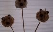 Hoe maak je teddybeer Cake Pops