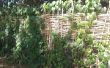 Het weven van een bamboe privacy hek