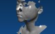 Voorbereiding van 3D scant voor afdrukken in 3D, met Rhino en Netfabb Pro