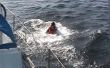 Redden van iemand overboord gedaald vanaf een boot