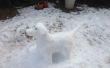 Hoe maak je een hond van de sneeuw beeldhouwkunst