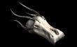 Hoe model/CAD en print een 3D-printbaar draak schedel. 