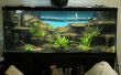 Een 3D Aquarium achtergrond maken