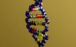 De dubbele Helix-glazen kraal DNA model V2.0
