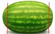 Hoe te verwijderen van de meeste van de zaden bij het versnijden van een watermeloen