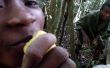 Malagasi Jungle remedie: Multifunctionele citroen
