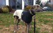 Greyhound vacht van oude fleece vest