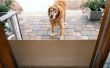 Schuifdeur hond Gate beschermt tegen krassen