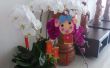 Miss La Sen opknoping gelukkige decoratie op Lunar New Year