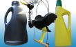 Balancing fles vogel