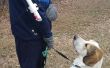 Koude-weather Honds behandelen Dispenser