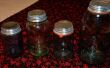 Reinigen zink deksels voor Mason Jar Displays
