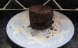 Eenvoudig mok-Brownie recept