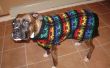 Lelijke hond trui