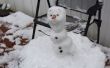 Olaf uit Frozen maken