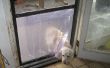 Eenvoudige, goedkope Doggy deur in een Hordeur