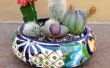 Hoe te maken van een cactustuin schotel & houden van uw vinger wervelkolom gratis