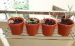 Home DIY zwaartekracht druppelirrigatie voor kruiden en planten
