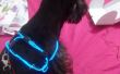 Fluorescerende hond kraag (TRON de hond)
