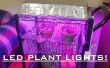 LED groeien licht voor kamerplanten voor $30! Eenvoudig! 