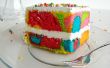 Swirl Cake van de regenboog