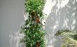 DIY organische verticale Planter