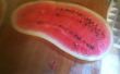 Filet van een watermeloen