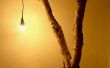 Tree Branch Lamp