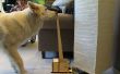 DIY lamp schakelaar voor honden