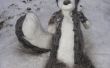 Sneeuw Skunk: Ramone Keulen