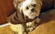 Warm en gezellig hondje jas gemaakt eenvoudig en goedkoop! 