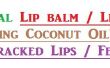 Natuurlijke lippenbalsem / lippenstift met behulp van kokosolie om te hielen gebarsten lippen of gebarsten hielen. 