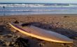 Teruggewonnen hout holle hout Surfboard - 9'2