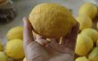Eenvoudige smakelijke Lemon Curd