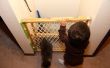 Strooisel vak bescherming met baby gate en kat deur