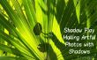 Shadow Play: Maken van kunstzinnige foto's met schaduwen